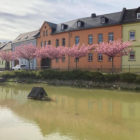 Pension Und Ferienwohnung Am Teich Schleiz Zewnętrze zdjęcie